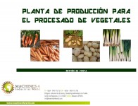 AL0441011- VEGETABLES PROCESSING COMPLETE LINES