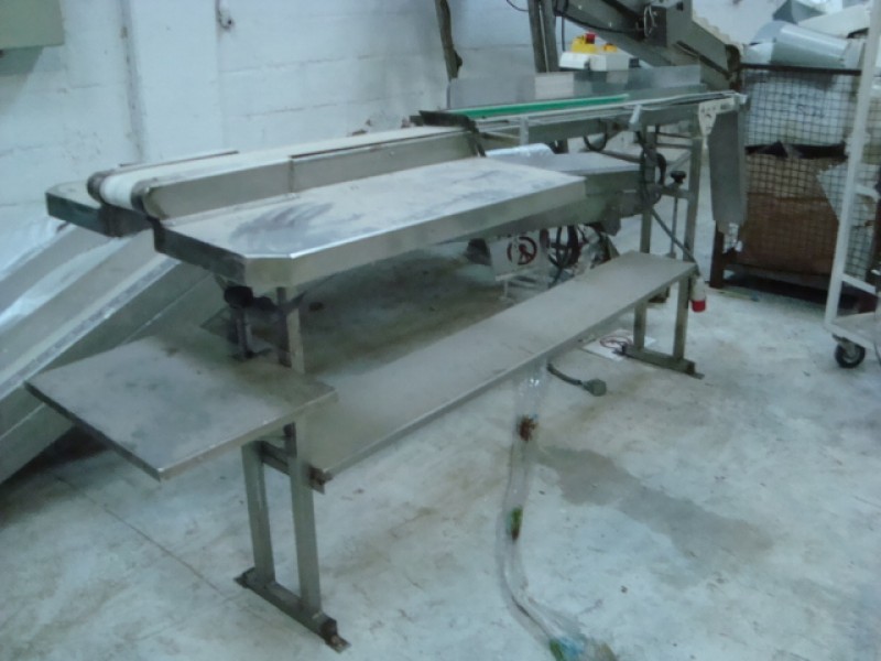 Conveyor 2. 500mmx120 mm with auxiliary trays in stainless steel