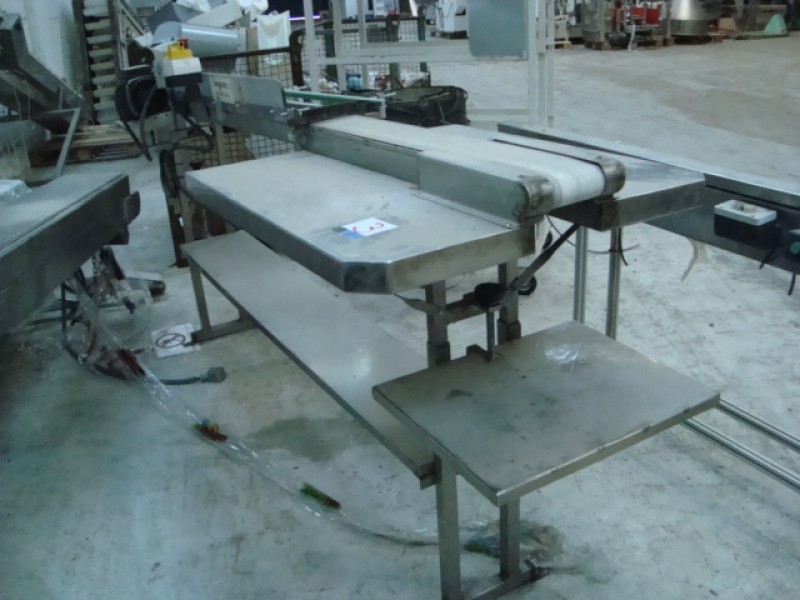 Conveyor 2. 500mmx120 mm with auxiliary trays in stainless steel