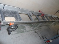 Tronzadora monocabezal MG Kaltenbak TLG-350